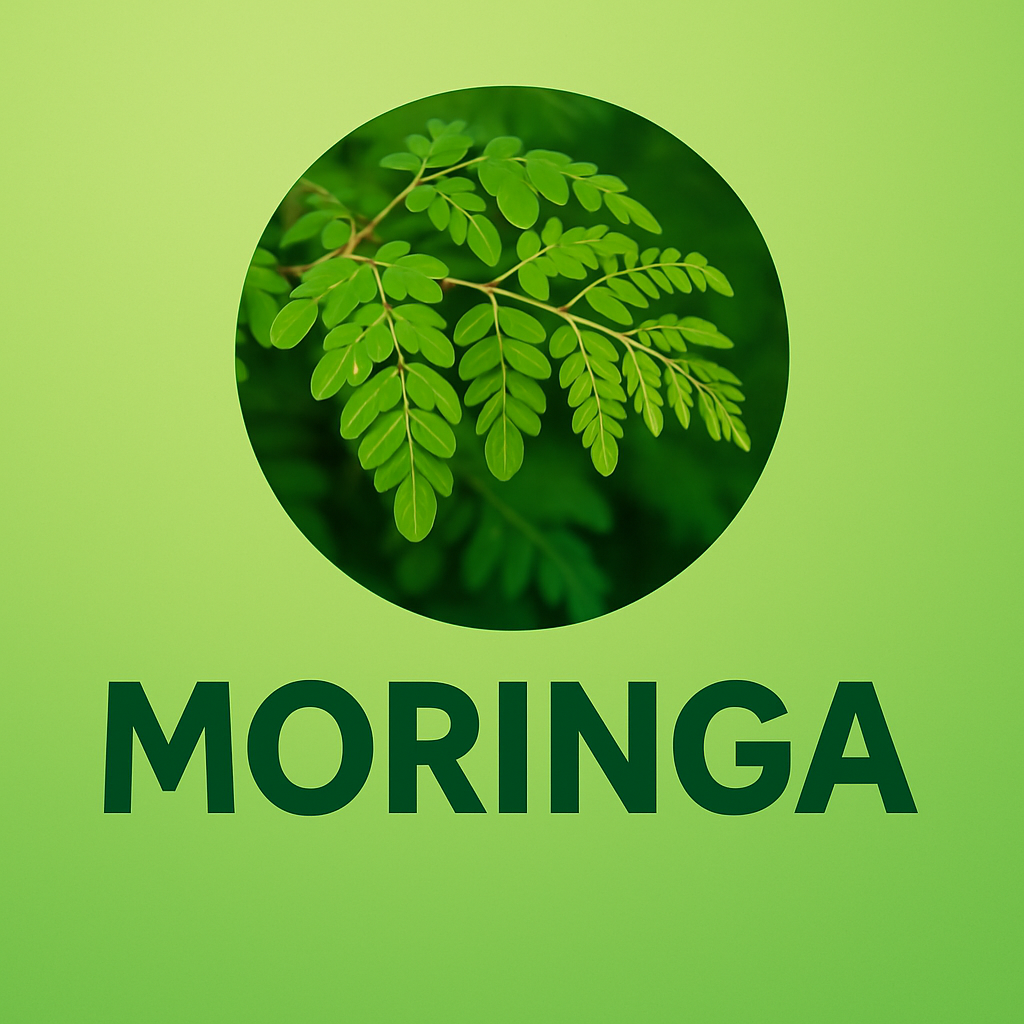 Moringa Nepal: Your Trusted Superfood Resource