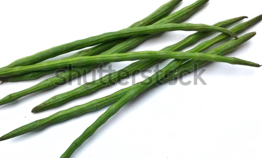 Fresh moringa drumsticks on a white background, commonly used in cooking and rich in nutrients.